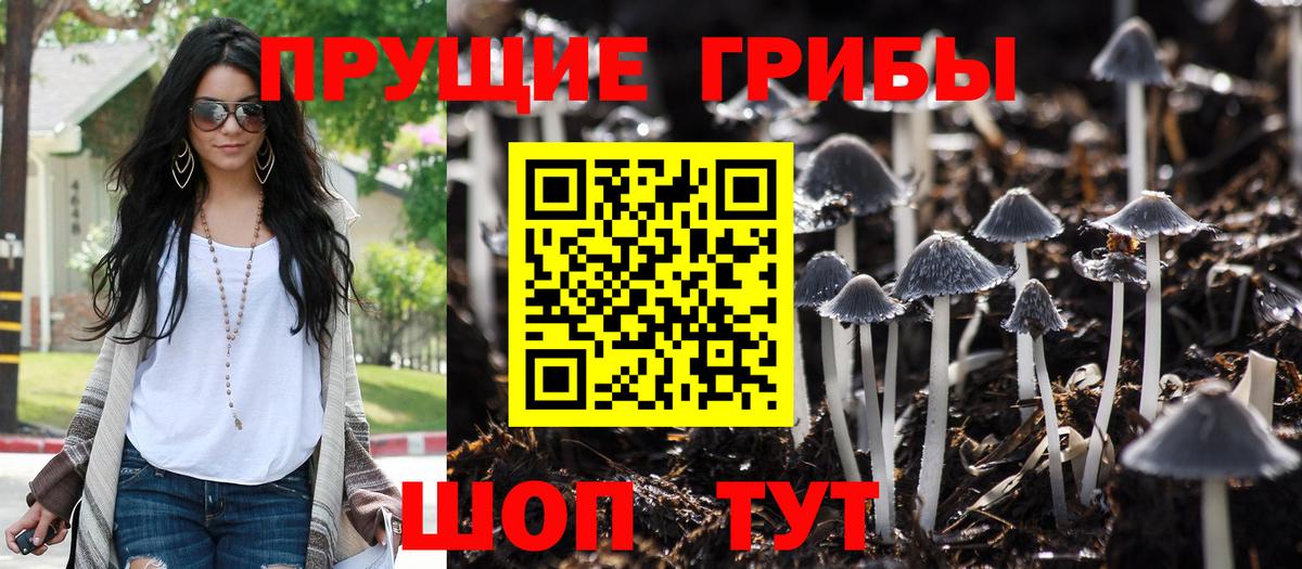 Псилоцибиновые грибы ЛСД Электрогорск