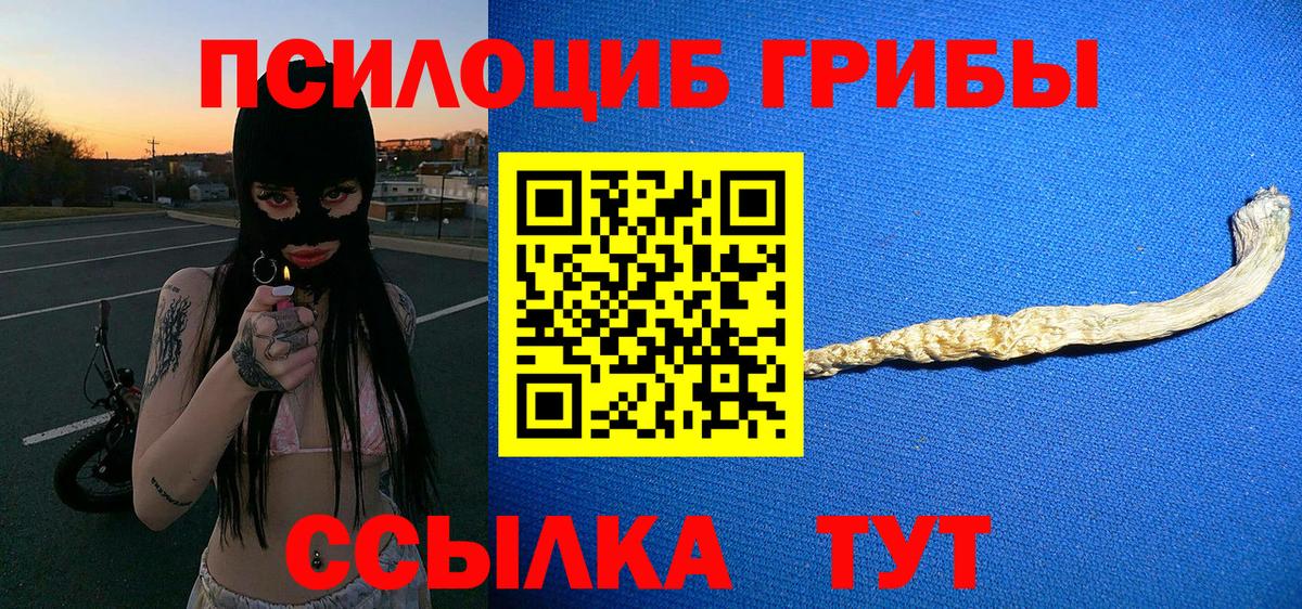 Псилоцибиновые грибы Psilocybe  Галлюциногенные грибы Cubensis  Электрогорск  Вход с VPN 